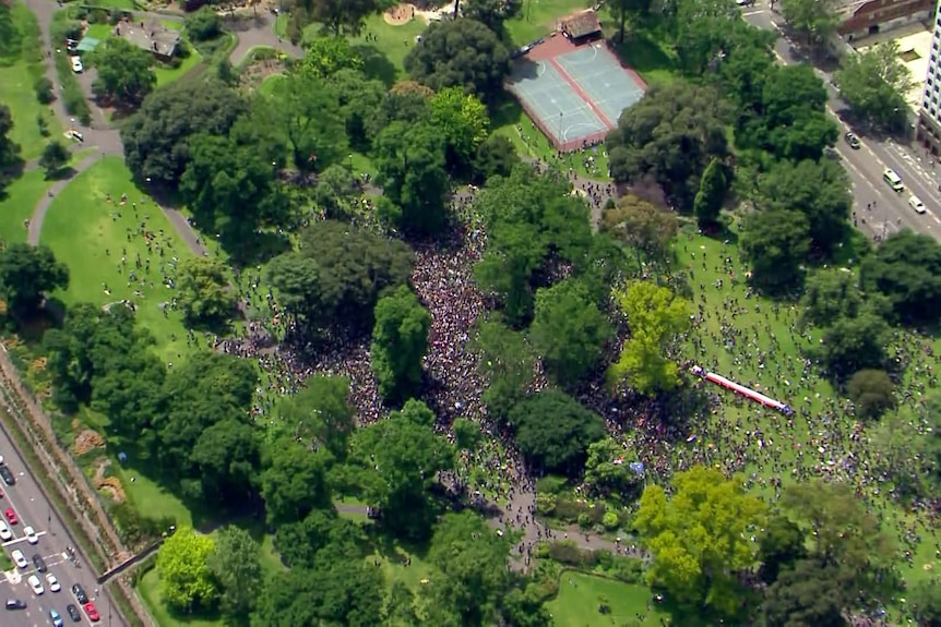 An aerial shot of a rally in a park.