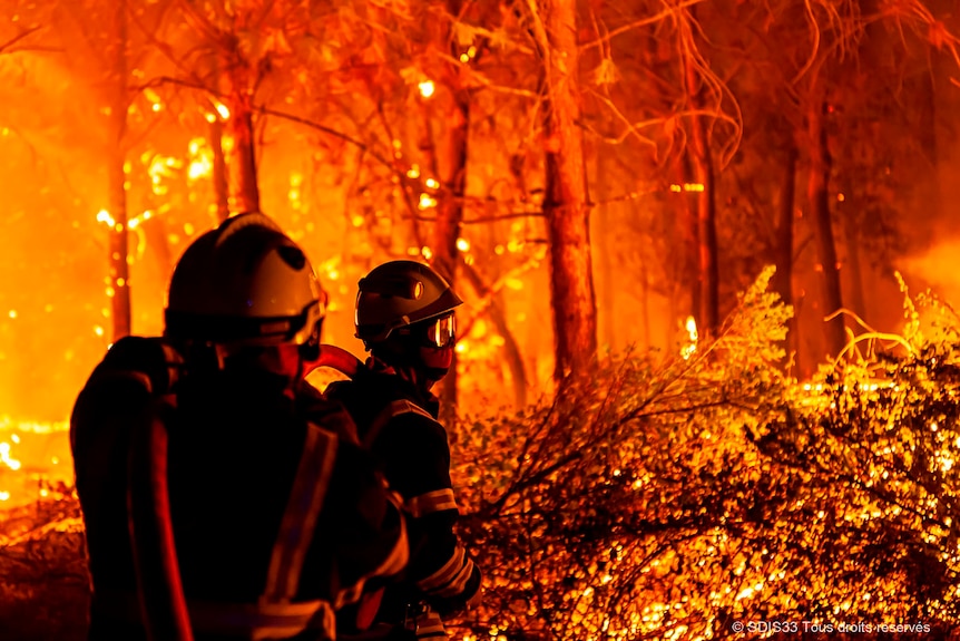 Two firefighters in full protective gear and breathing masks carry a hose past an orange inferno of trees and scrub.