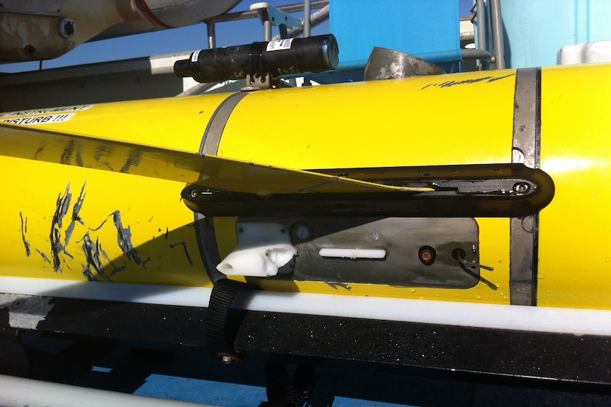 Ocean glider attacked by shark off Perth coast