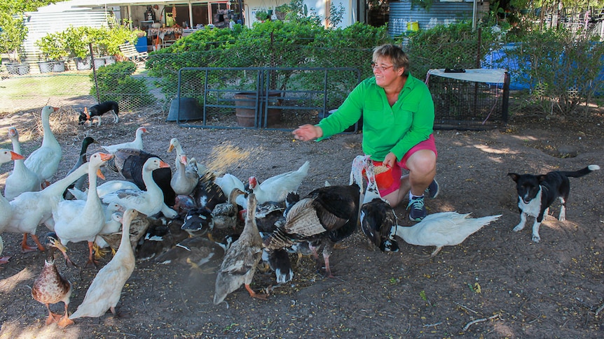 Darlene Taylor at Zonia Downs, near Julia Creek in north west Queensland.