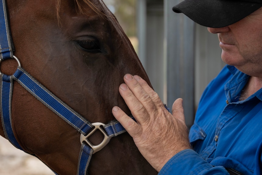 A man pets a horse.