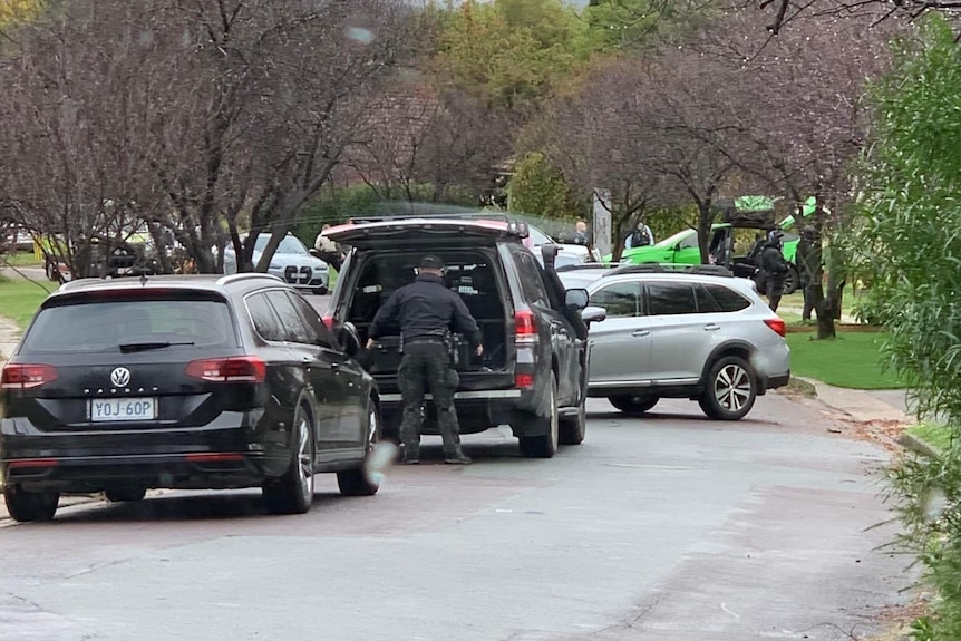 A group of cars block a tree-lined street.