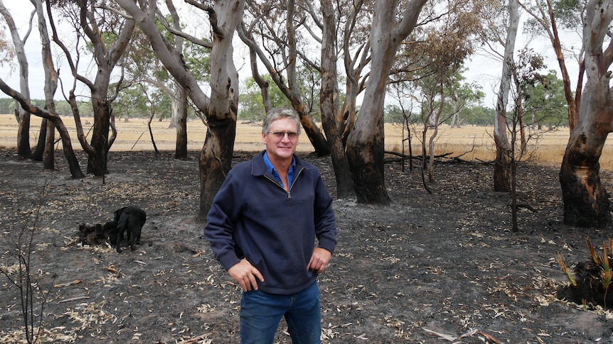 A man stands next to burnt trees. 