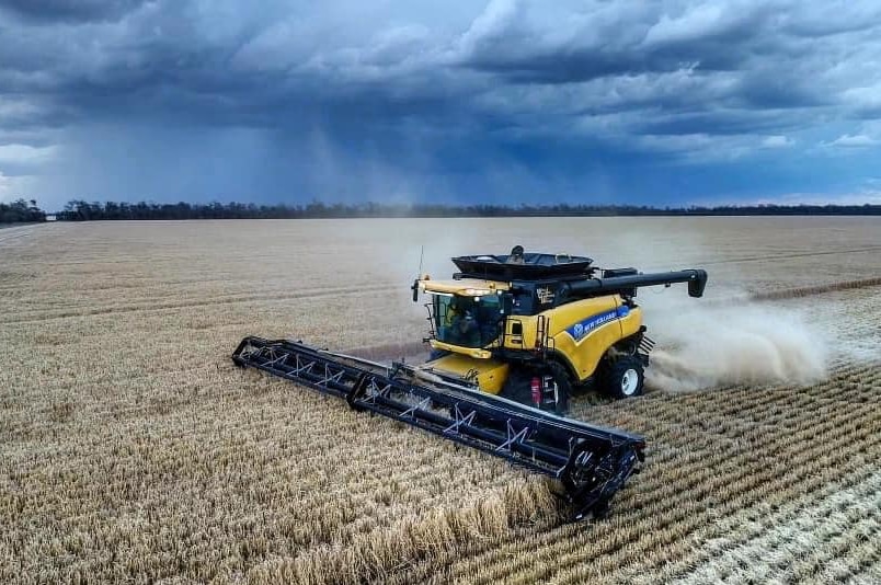 A header harvesting wheat half way between Moree and Goondiwindi with rain in the background, October 2020.