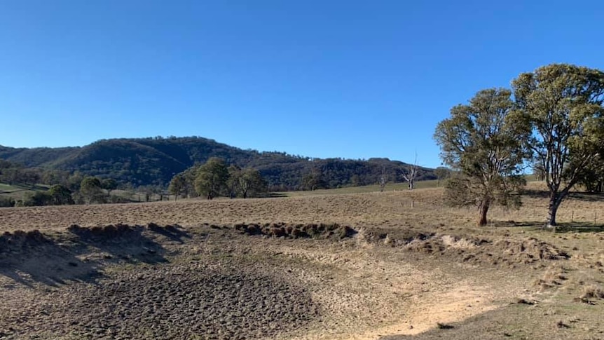 The dams have run dry on Matt Richardson's farm near Tenterfield