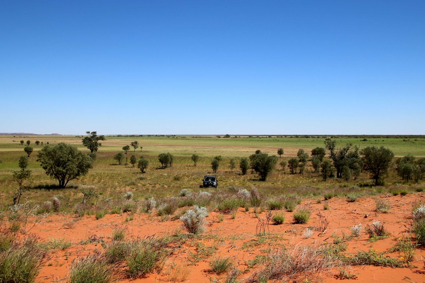 Looking down over green open flood plains and a ute from a red sand dune.