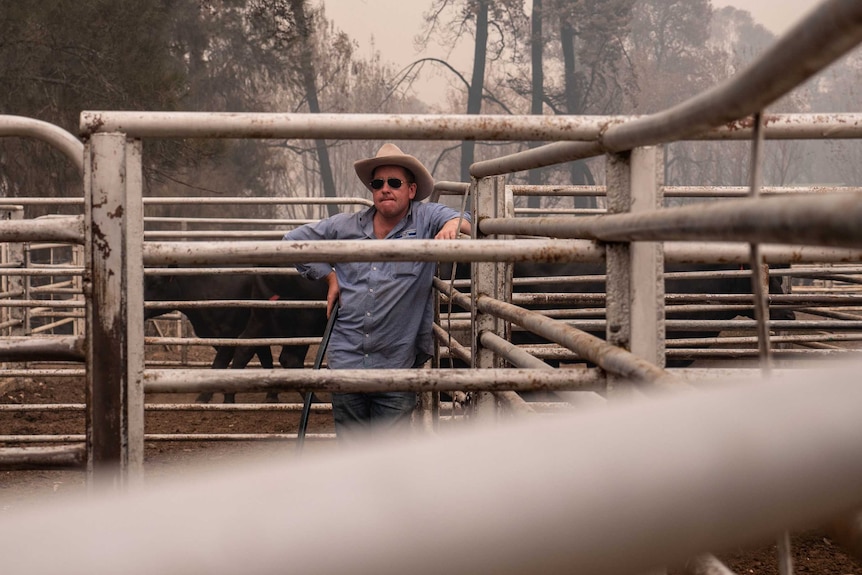 Matthew Cooper wears a white rimmed hat, blue shirt and leans against fencing in a cattle yard. Smoky air around.
