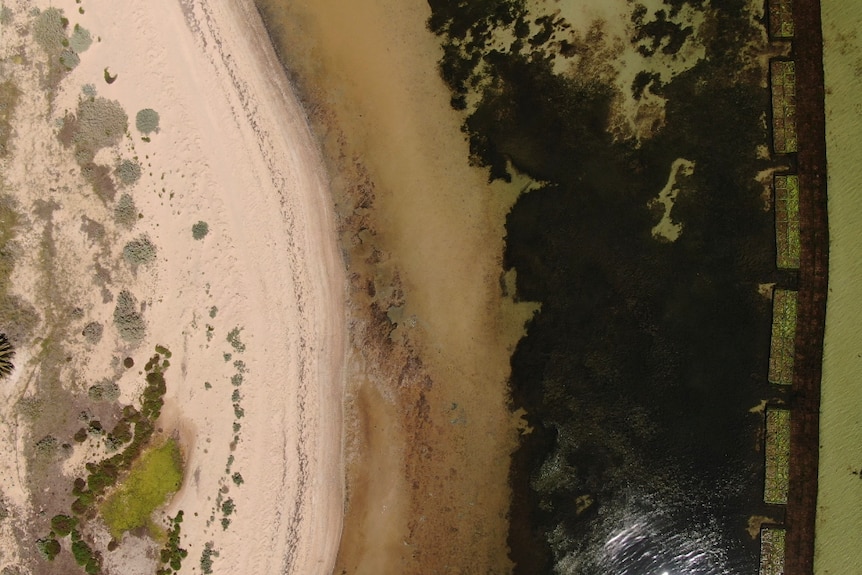 An aerial shot of coastline