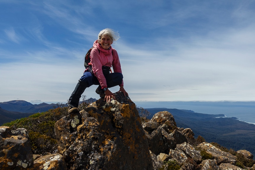 a woman in a pink top on top of a very tall mountain, with ocean and hills in the background