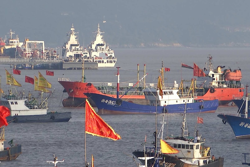 Large fishing boats in the Zhoushan port.