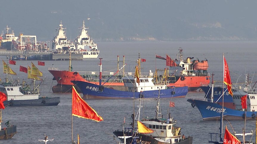 Large fishing boats in the Zhoushan port.