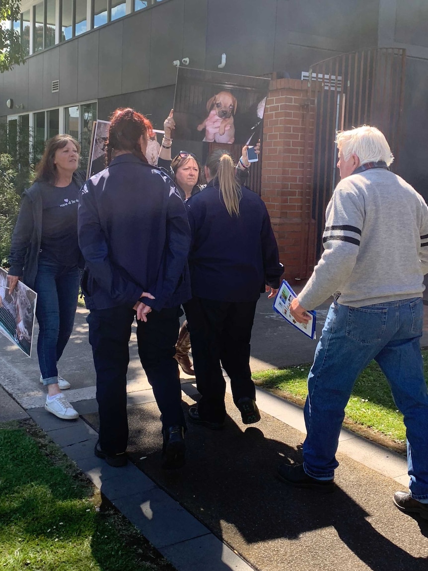 Animal activists confront Bert Cooke outside court with posters of puppies from his farm.