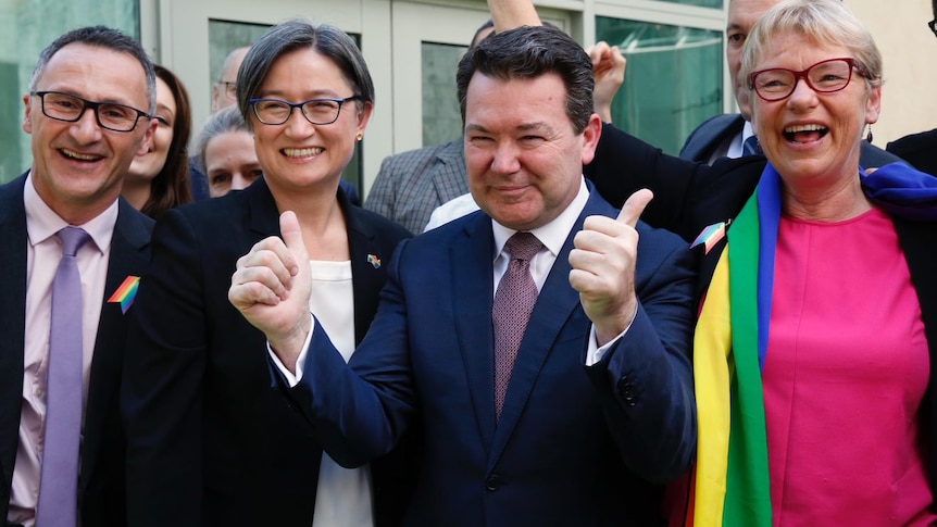 Senators Richard Di Natale, Penny Wong, Dean Smith, Janet Rice look overjoyed outside parliament after ssm vote