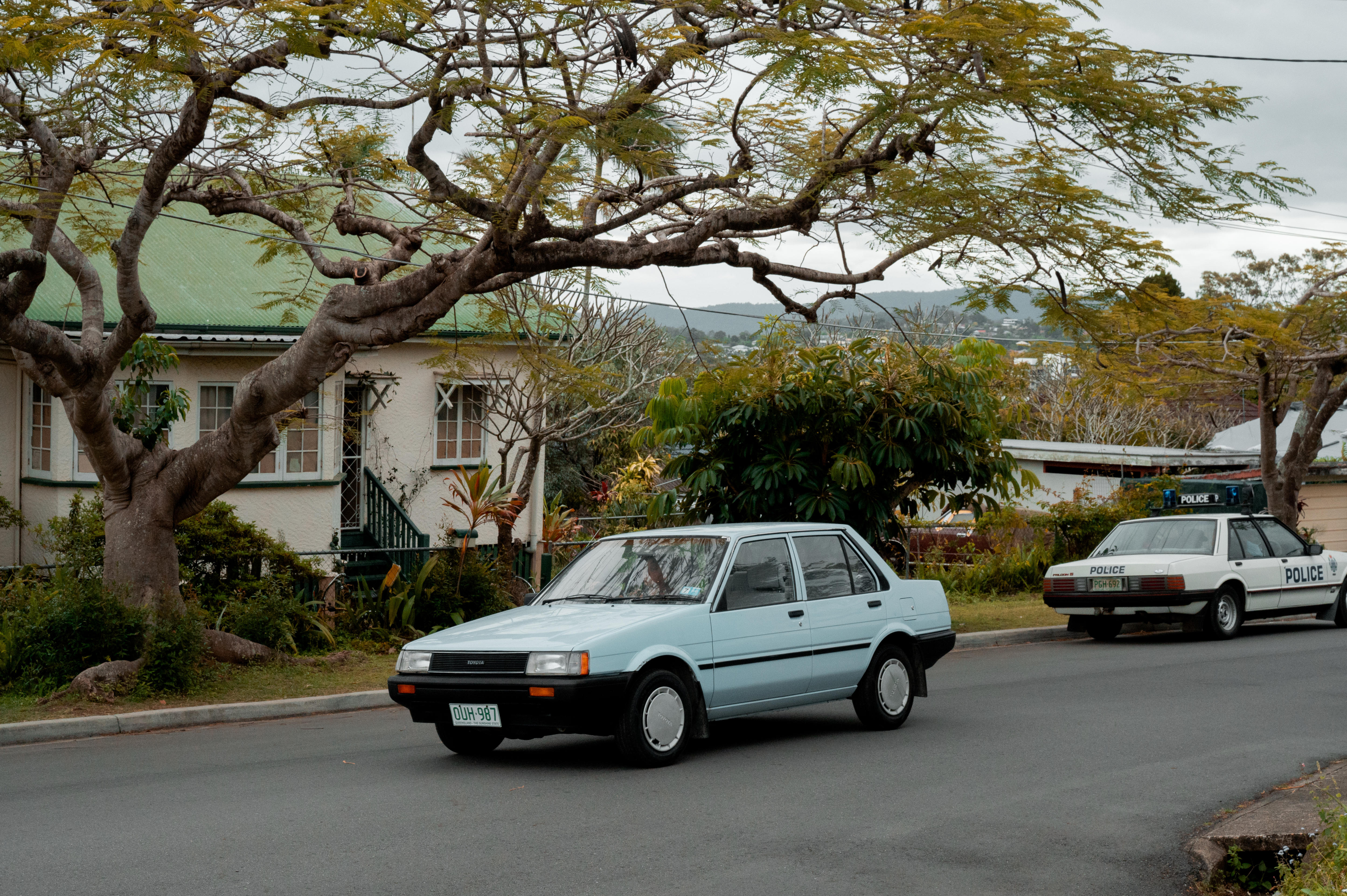 A cream house is seen behind a sprawling Royal Poinciana tree, with a retro car parked in front of it on a grey day.