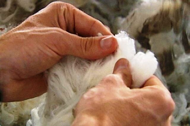 A close-up of a man's hands holding wool.