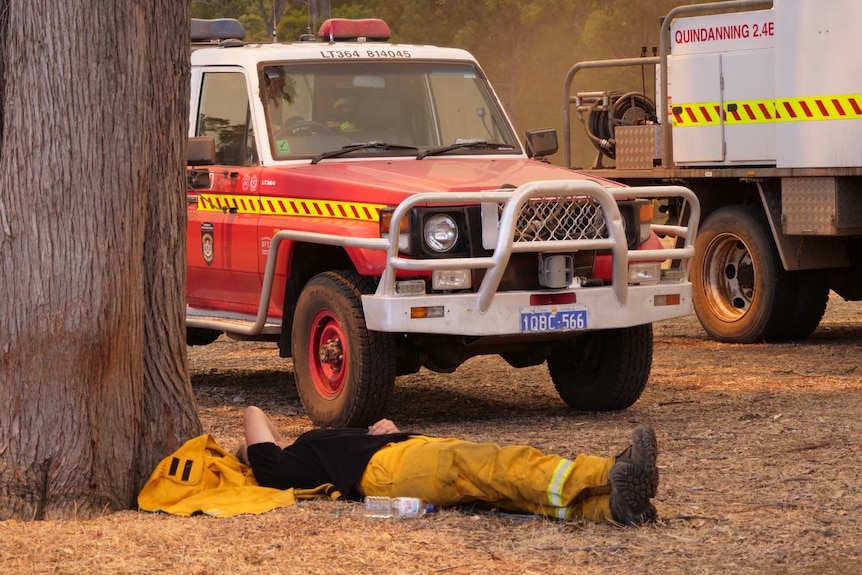 A firefighter lies under a tree.