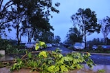Debris litters the streets of Cairns in the early morning of February 3, 2011, after Cyclone Yasi hit.