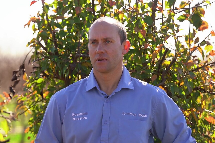 image of Jonathon Moss at his property in Griffith, NSW.