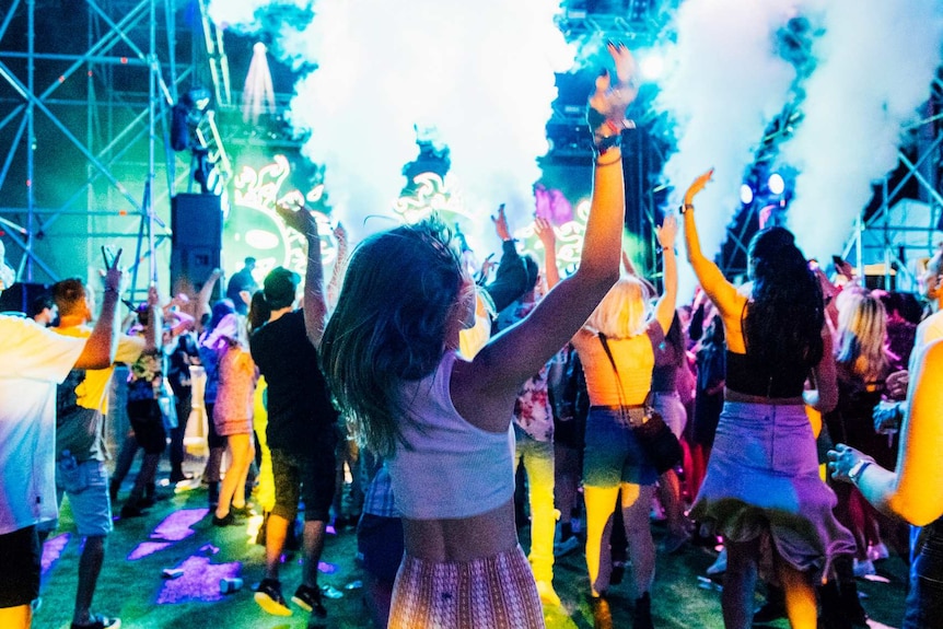 Back of woman with hands up with other people dancing in background.