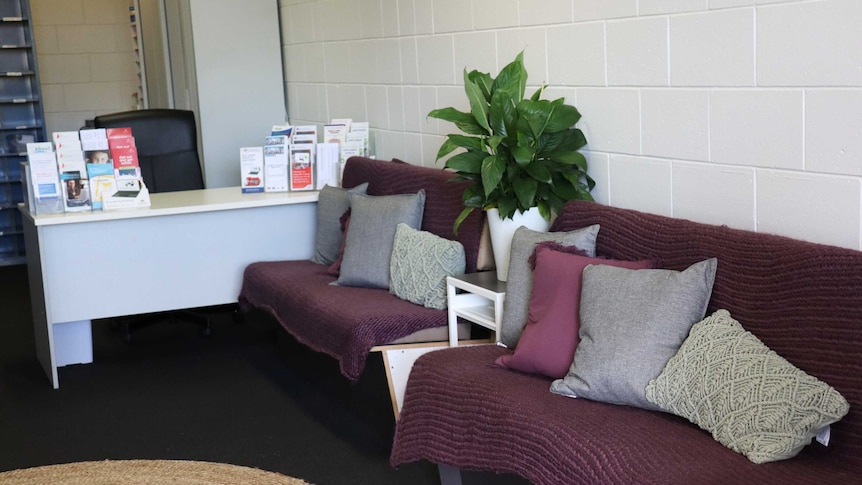 Inside an office featuring couches with colourful throws, cushions and house plants.