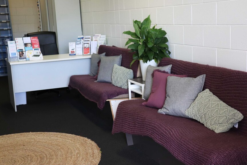 Inside an office featuring couches with colourful throws, cushions and house plants.