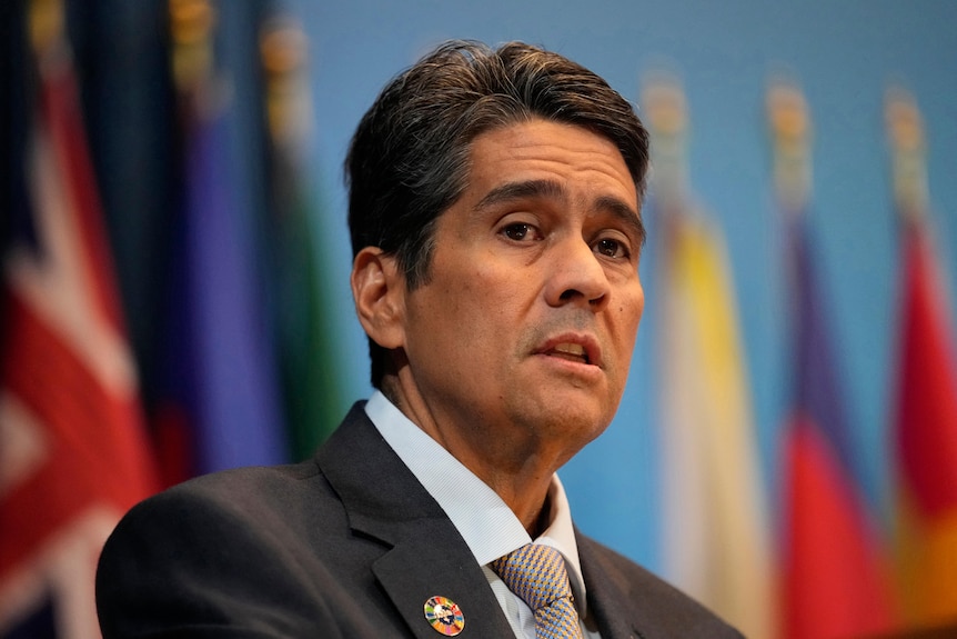 A close up of a man in a suit with thick dark hair with flags blurred in the background.