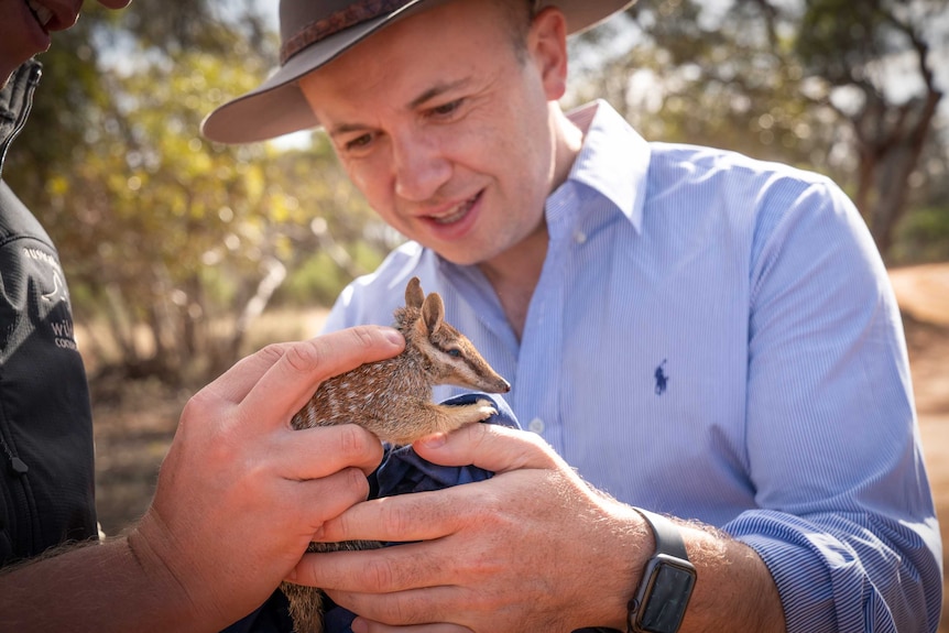 Two men hold a numbat.