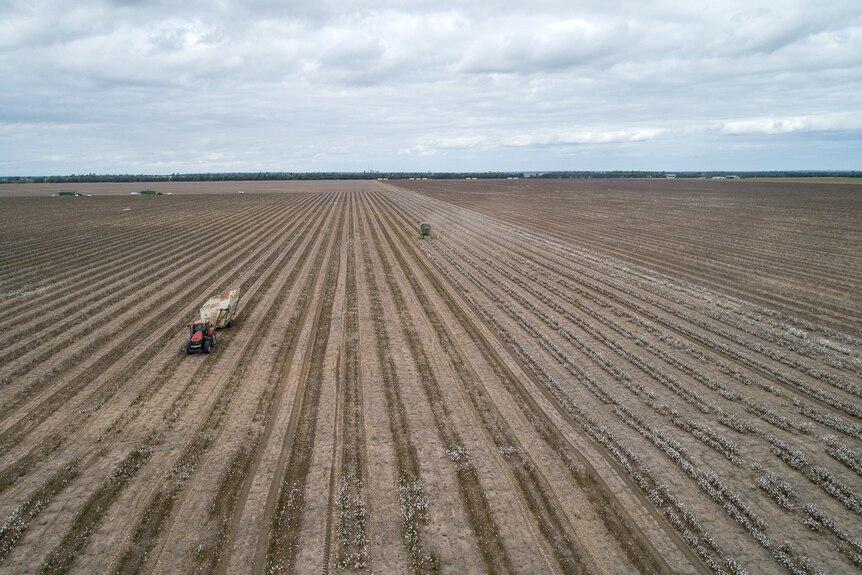 Aerial photo of tractor cotton harvesting on Brian Bender's property at Hopeland in southern Queensland.