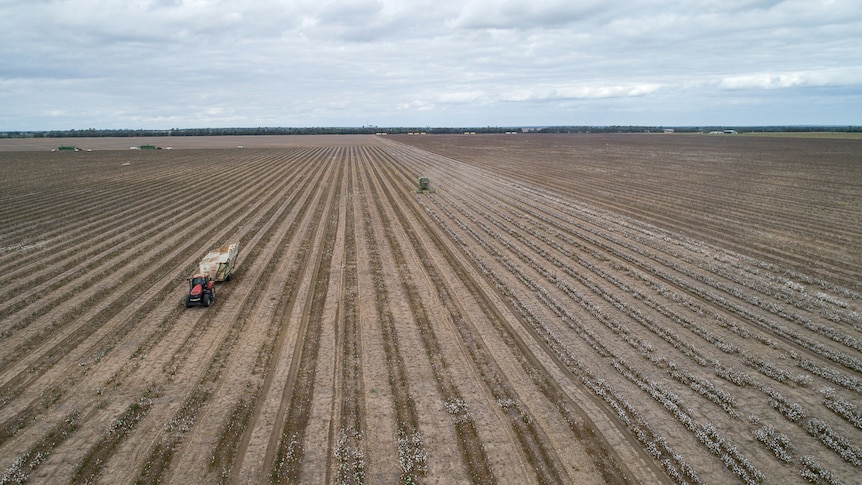 Aerial photo of tractor cotton harvesting on Brian Bender's property at Hopeland in southern Queensland.