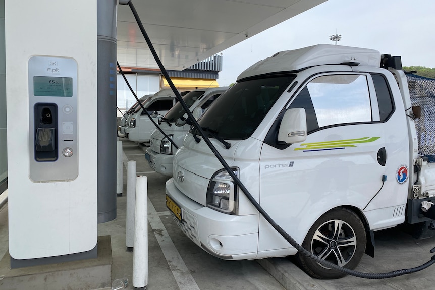 A row of electric utes refuelling.