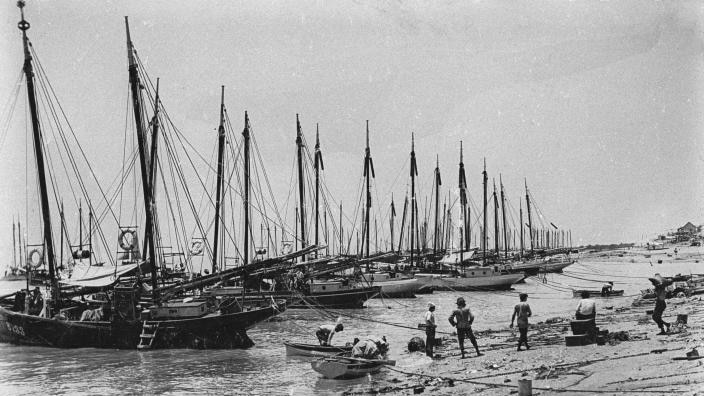 Broome lugger fleet 1914