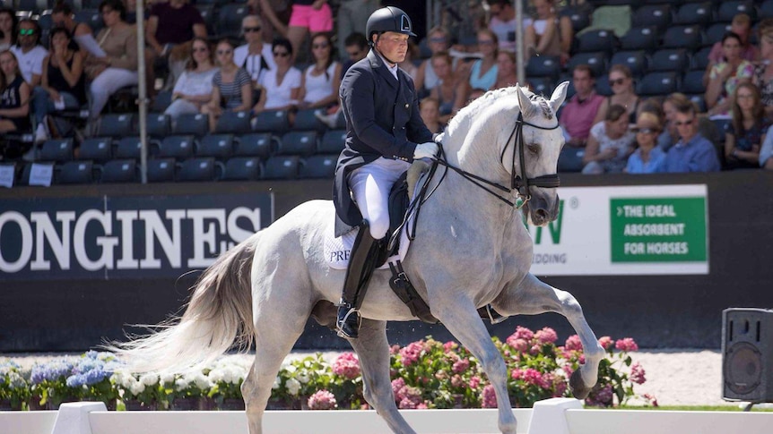 A man rides a grey horse in an arena, with spectators in the background.
