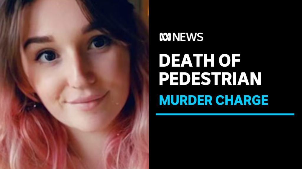 Man charged with murder after allegedly planning hit-and-run - ABC News
