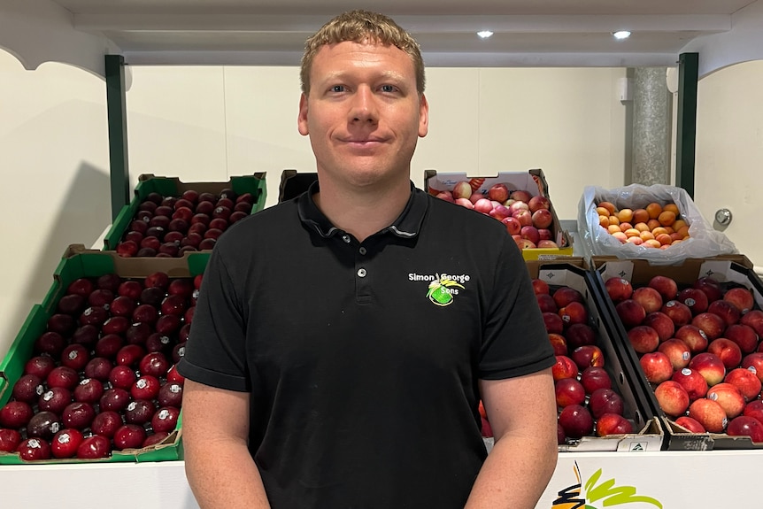Man half smiles at camera, wearing a black collared polo and stands in front of an arrangement of stone fruit. 