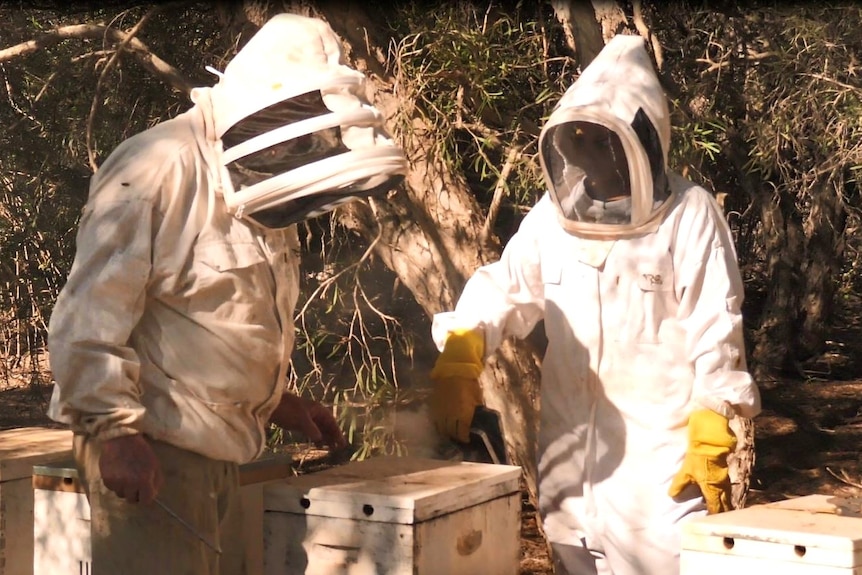 two people in white bee suits surrounded by bush