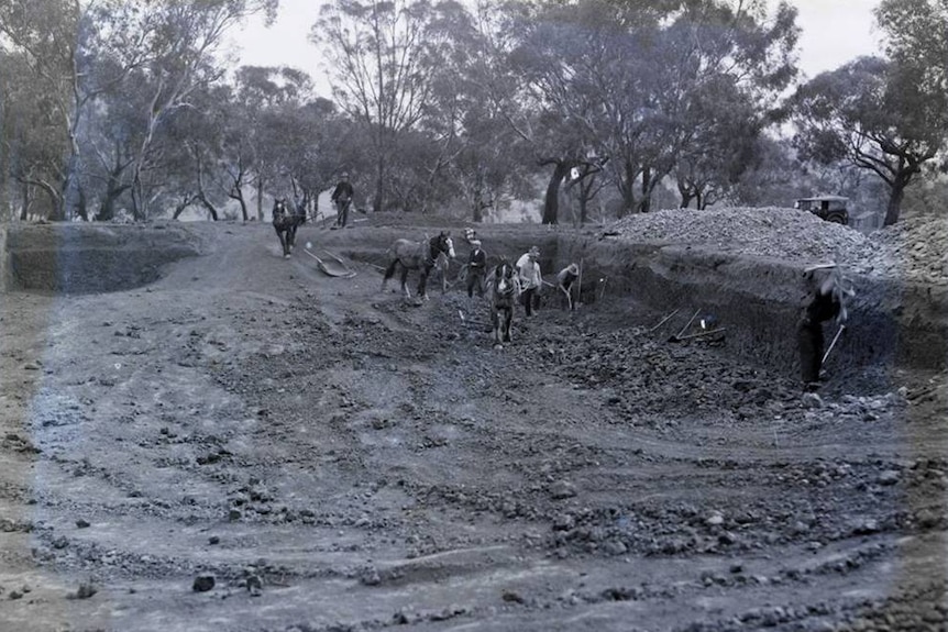 Construction on the Institute of Anatomy