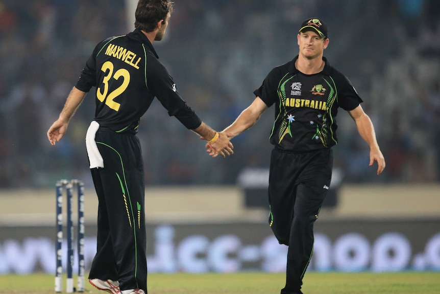 Glenn Maxwell and George Bailey tap hands while on the cricket field.