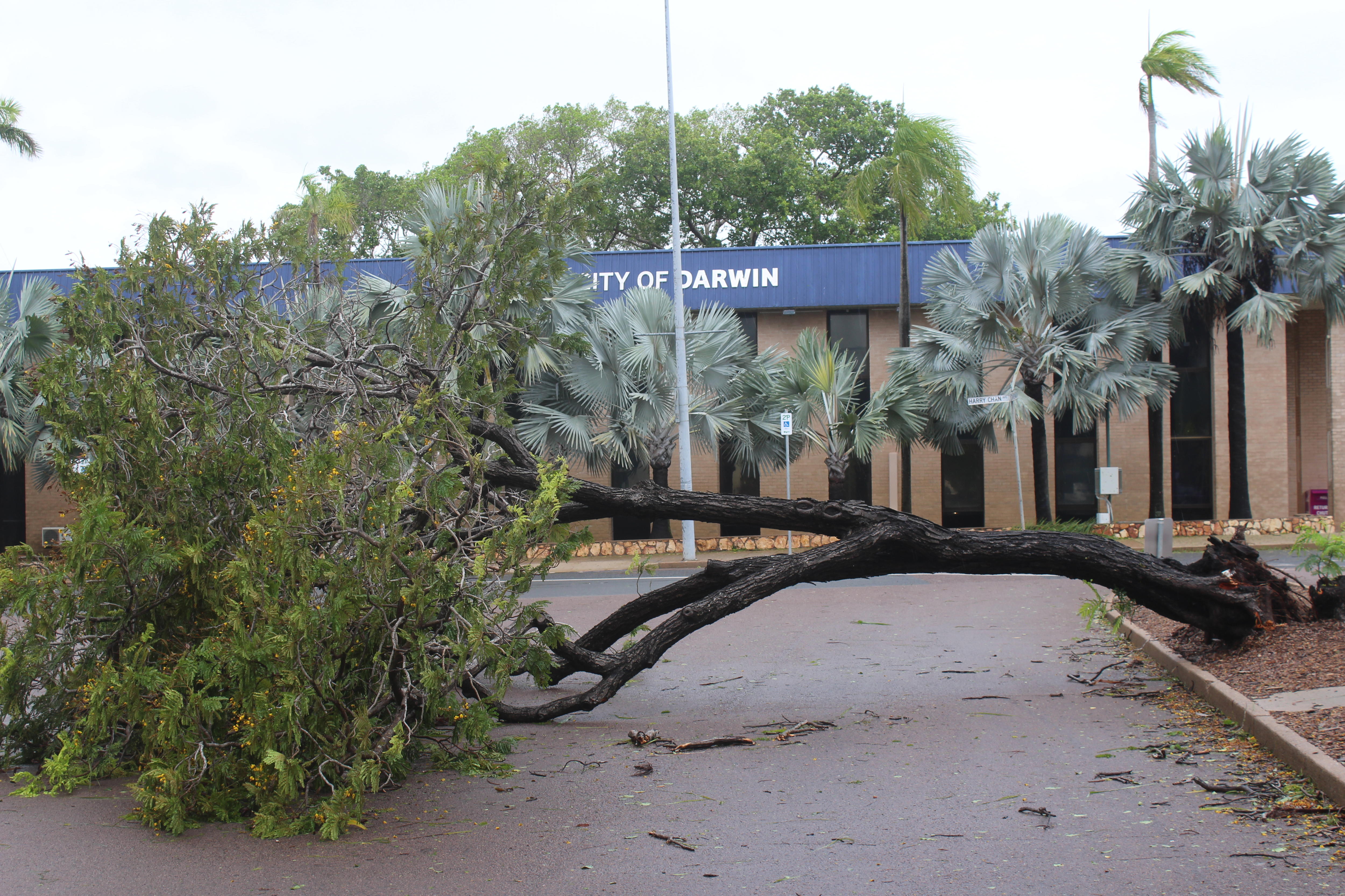Hero emerges amid Darwin's cyclone clean-up cancellation