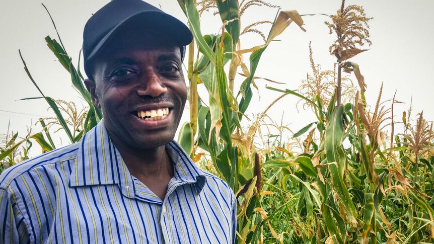 An African man wearing a cap standing in front of a maize crop.