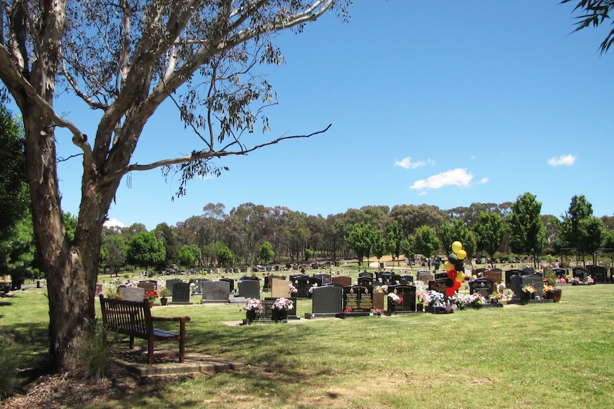 A wooden seat beneath a tree overlooks rows of graves.