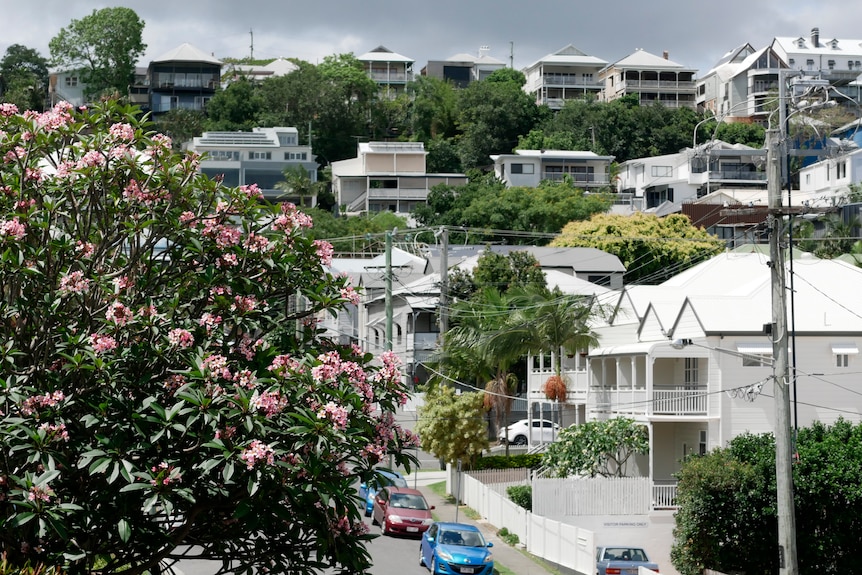 Casas en la calle Brisbane 