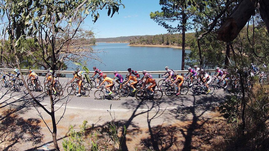 The Tour Down Under peloton rides through the Adelaide Hills