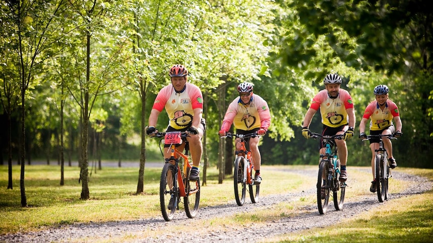Three men and one woman in lyra cycling outfist, riding their bikes along a path, in a wooded area