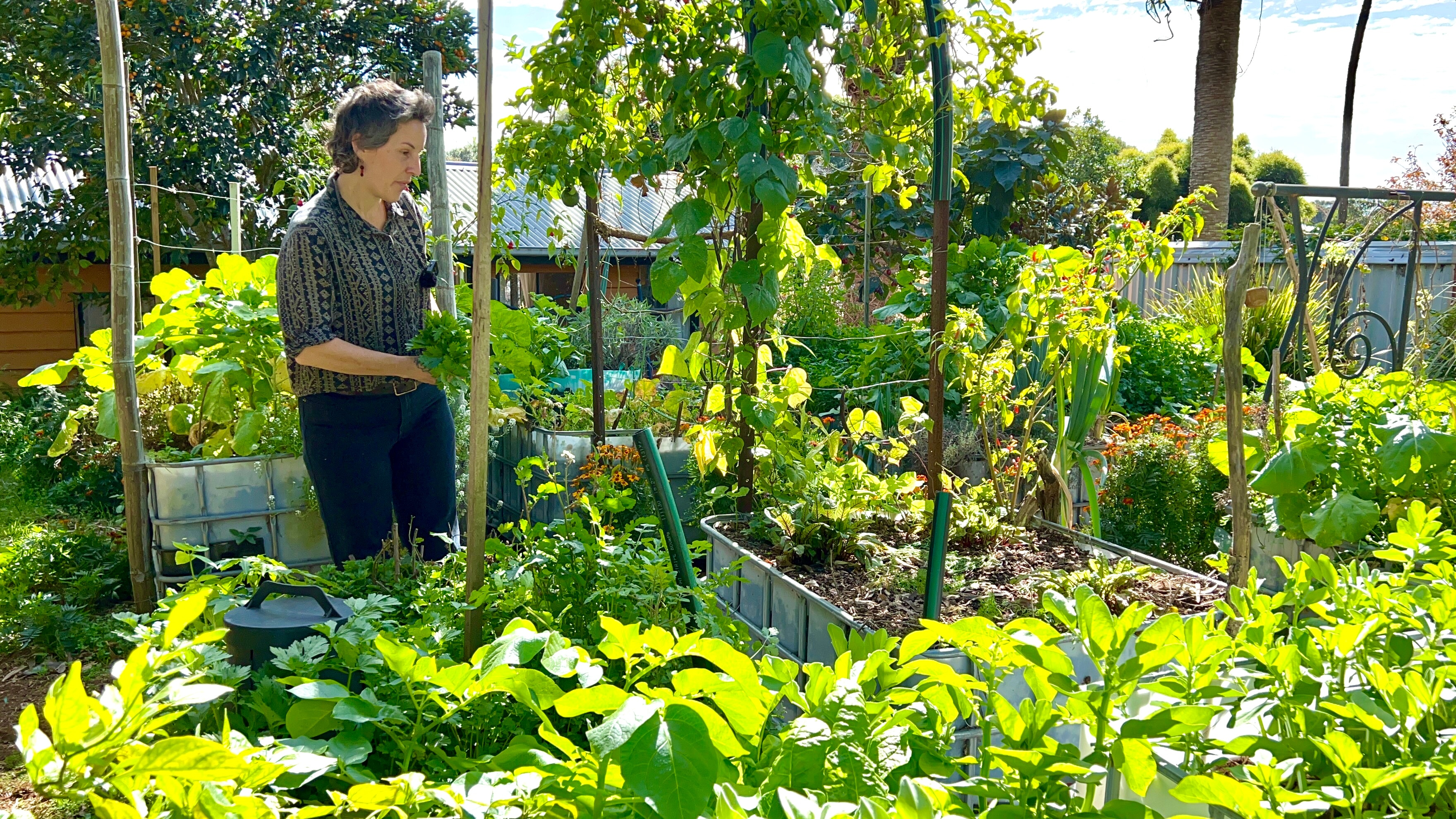 A woman stands in a thriving vegetable patch with raised garden beds.