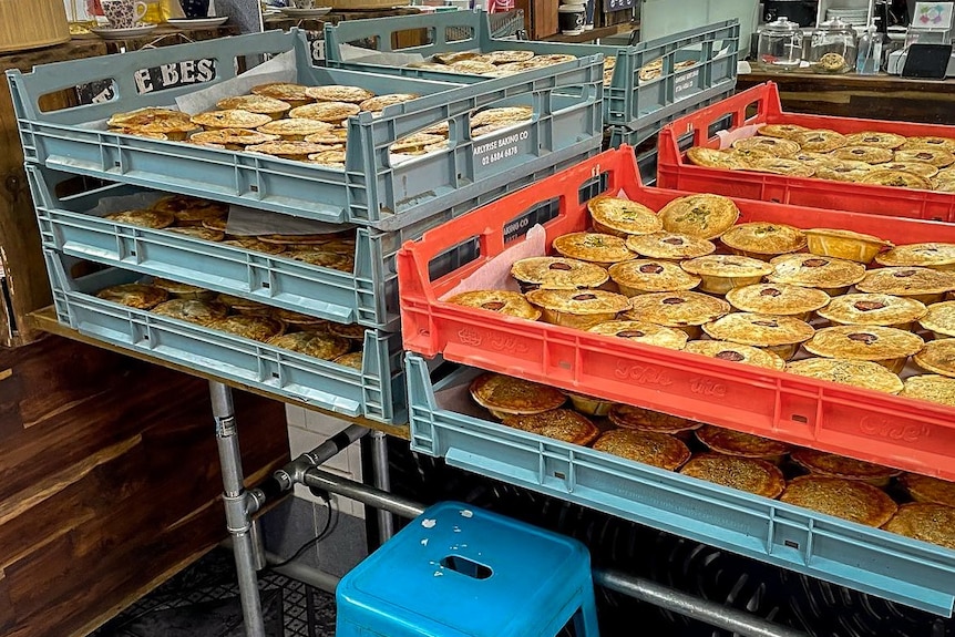 over 100 pies stacked in trays ready to be delivered