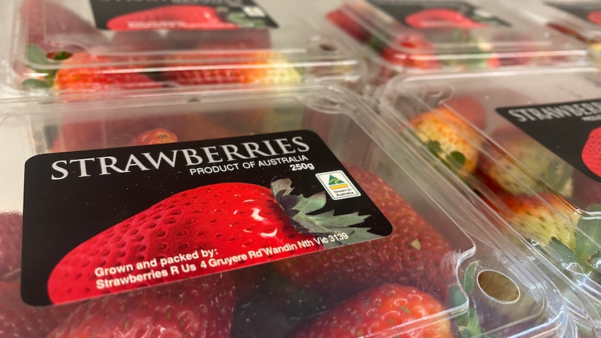 four packets of bright red strawberries sit on a supermarket shelf 