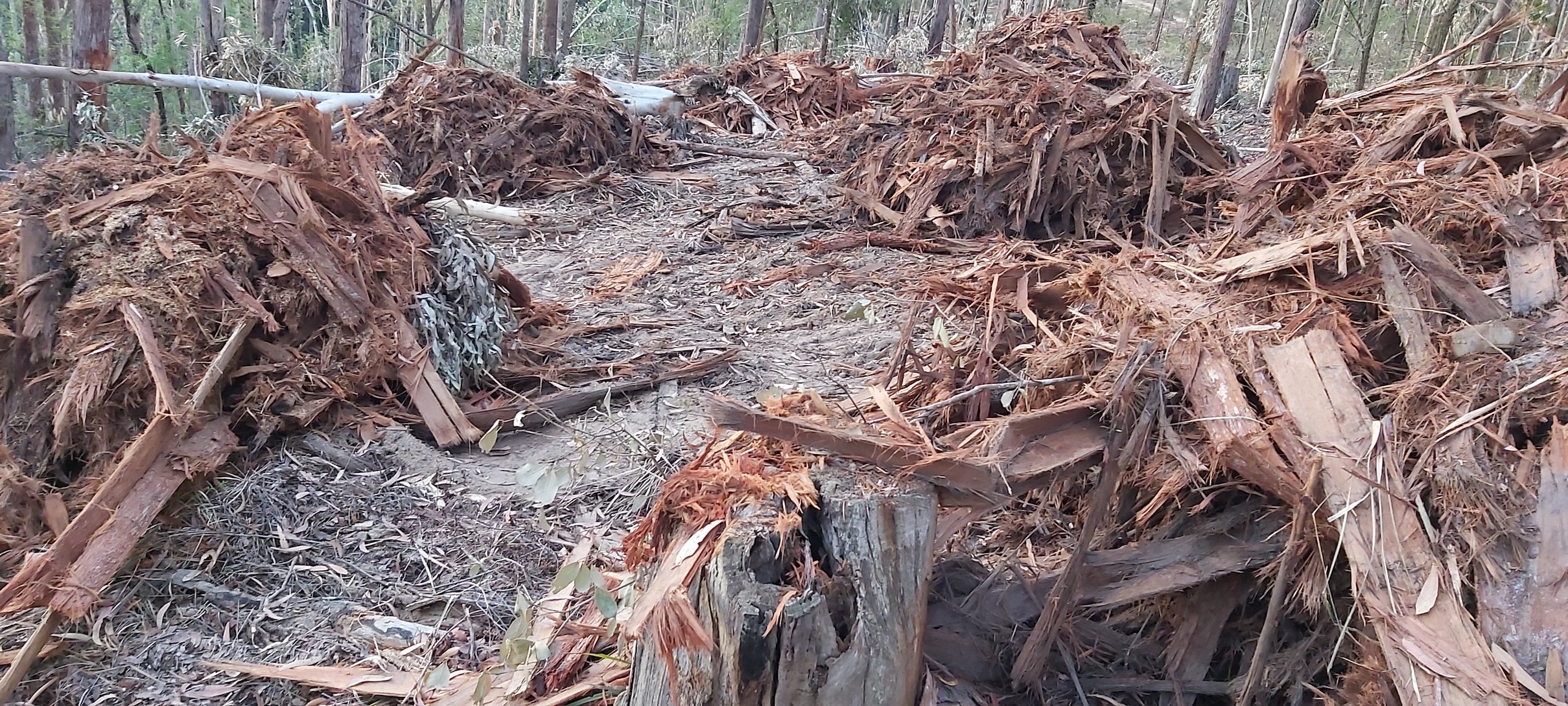 Piles of bark in a forest.