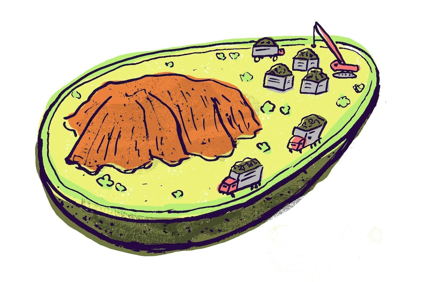 An illustration depicting half an avocado, with a seed shaped like Uluru and trucks of fruit driving across a desert of flesh.
