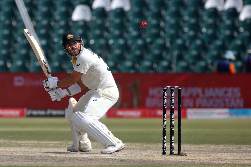 David Warner looks behind him as he bats