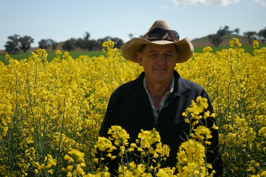 A middle aged man standing in a canola field with an akubra on 